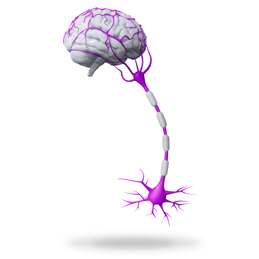 Area Terapeutica dedicata a diagnosi, trattamento e prevenzione dei tumori benigni e maligni